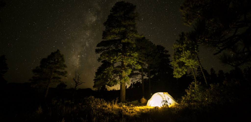 tent-light