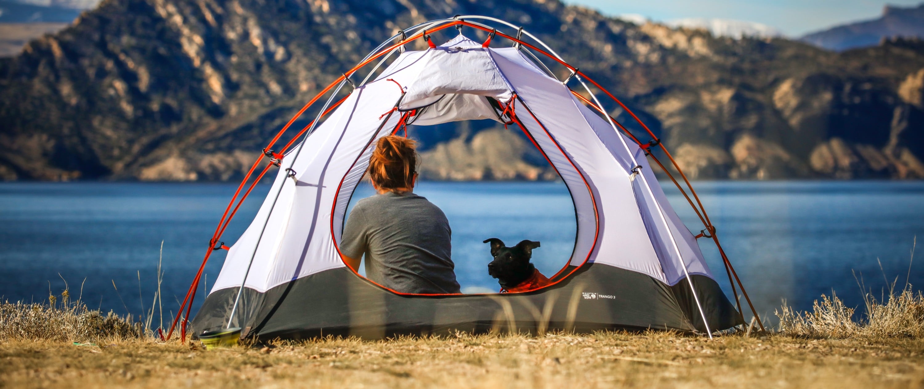 how do you keep your dog clean while camping